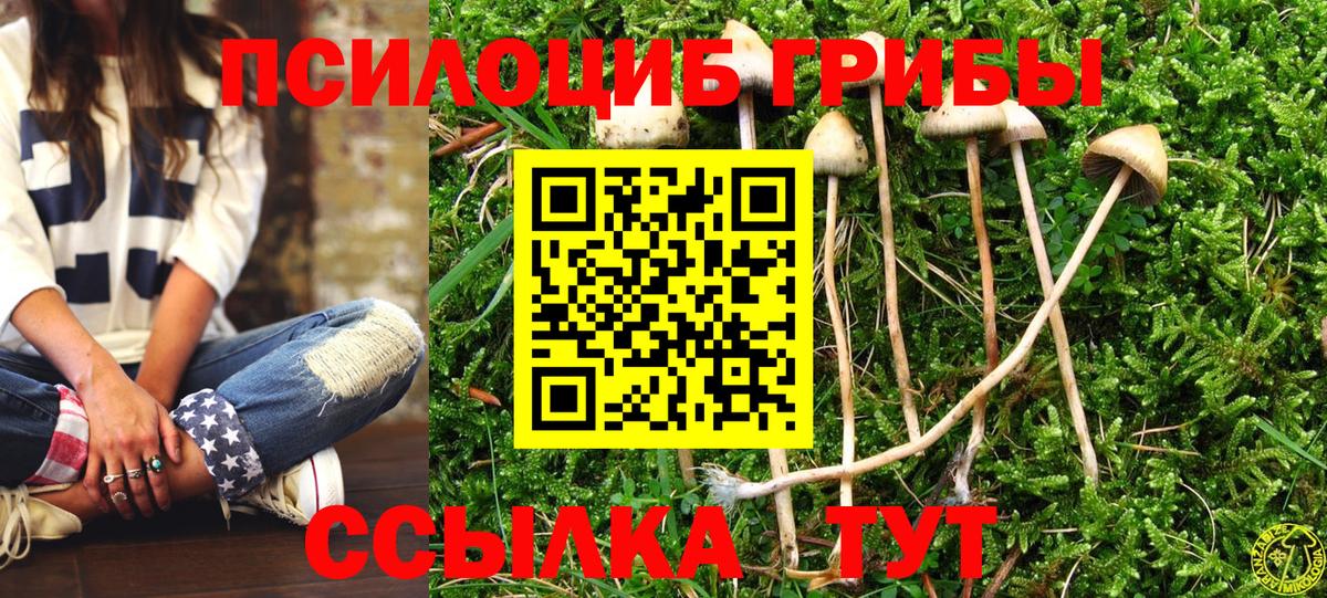 Псилоцибиновые грибы мицелий  Псилоцибиновые грибы ЛСД  Карпинск  Вход с VPN 
