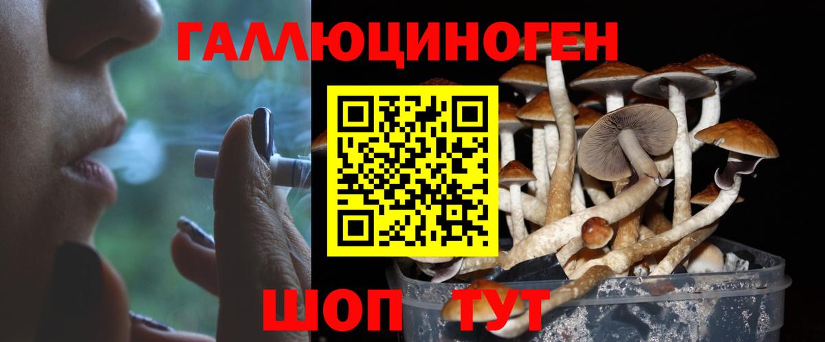 Псилоцибиновые грибы прущие грибы Карпинск